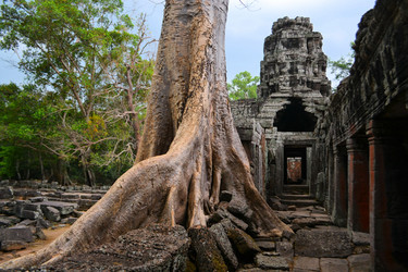 Similar image 7637722