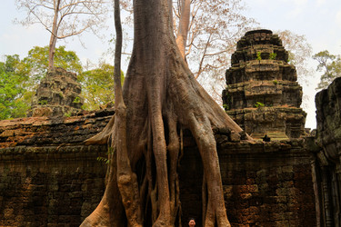 Similar image 7637723