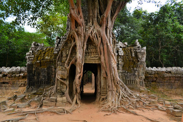 Similar image 7637725