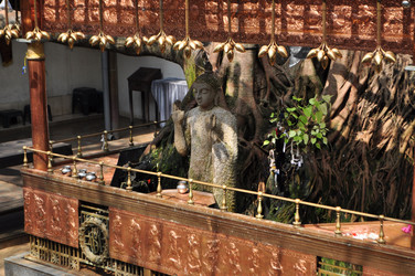 Similar image 7637835