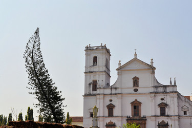 Similar image 7637881