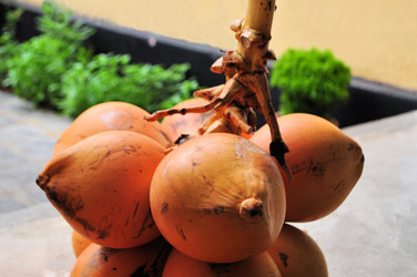 Similar image 7638001