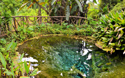 Similar image 7638029