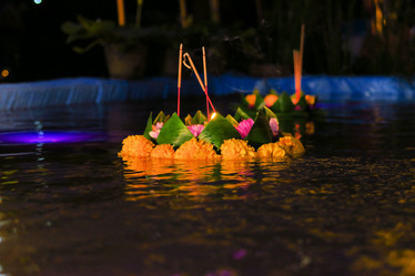 Similar image 7638031