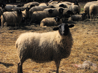 Similar image 7638108