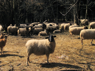 Similar image 7638109