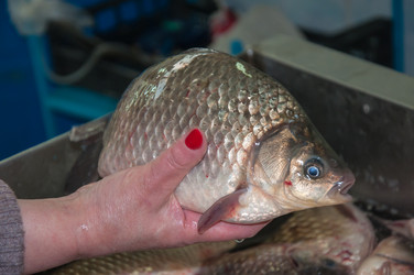 Similar image 7638183