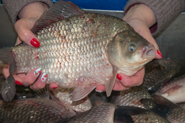 Similar image 7638184