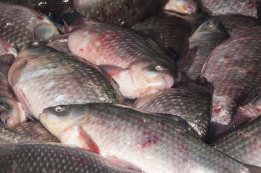 Similar image 7638186