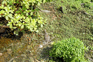 Similar image 7638233