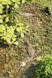 Similar image 7638235