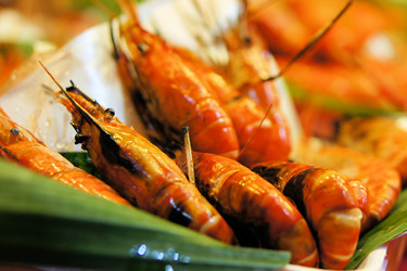 Similar image 7638304