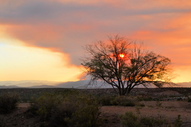 Similar image 7638346