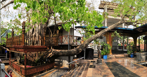 Similar image 7638388