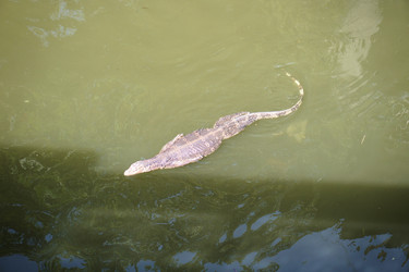 Similar image 7638418