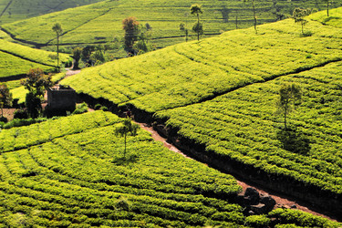 Similar image 7638437