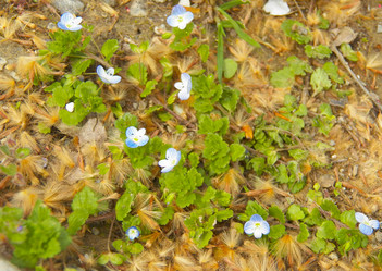 Similar image 7638475