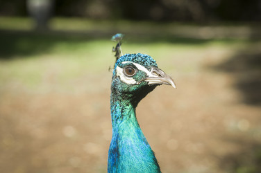 Similar image 7638478