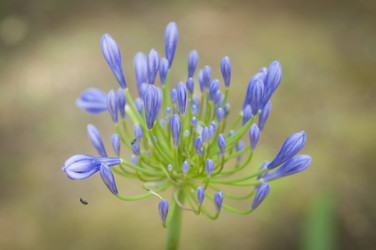 Similar image 7638499