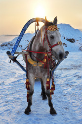 Similar image 7638500