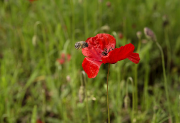 Similar image 7638505