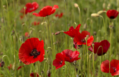 Similar image 7638506