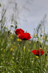 Similar image 7638507