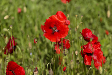 Similar image 7638508