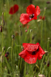 Similar image 7638509