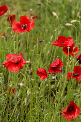 Similar image 7638510