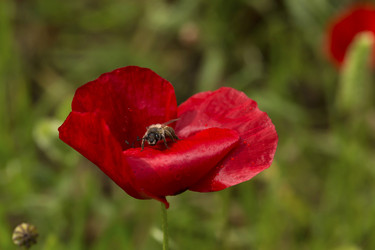 Similar image 7638511