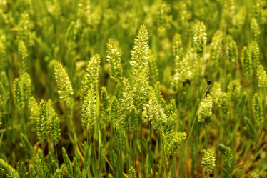 Similar image 7638512