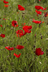 Similar image 7638514