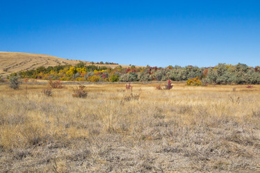 Similar image 7638516