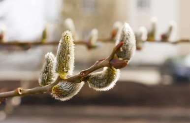 Similar image 7638533