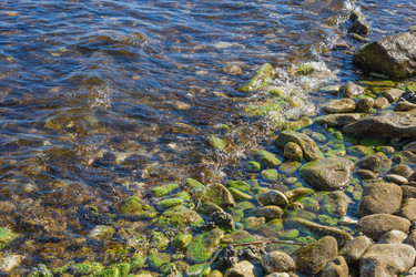 Similar image 7638540