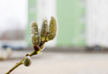 Similar image 7638546