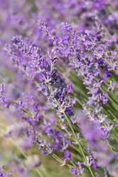 Similar image 7638584