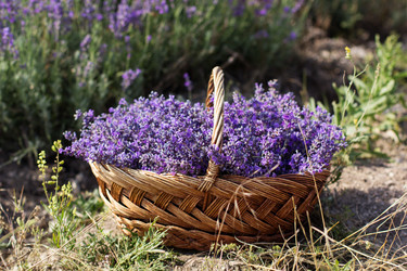 Similar image 7638590