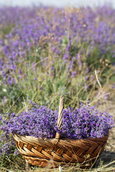 Similar image 7638591