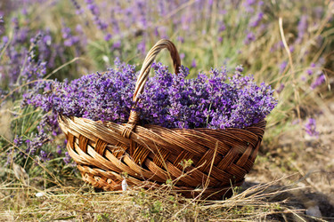 Similar image 7638593