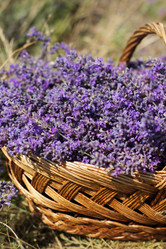 Similar image 7638597