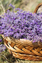 Similar image 7638598