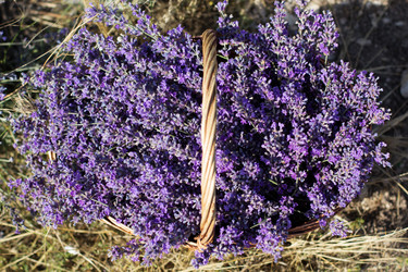 Similar image 7638599