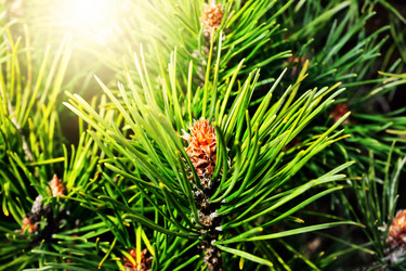 Similar image 7638787