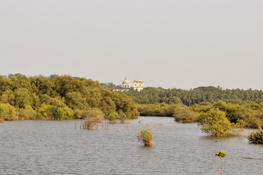 Similar image 7638826