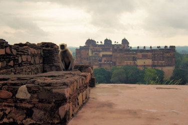 Similar image 7638840