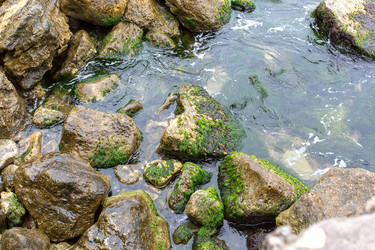 Similar image 7639027