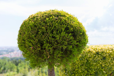 Similar image 7639180