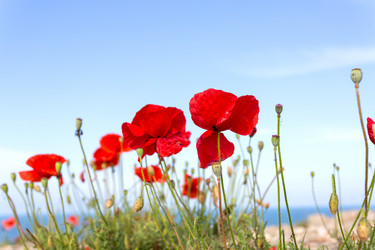 Similar image 7639183